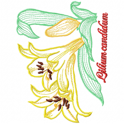 Flowers And Tree Embroidery Design 8 Flowers And Tree Embroidery Design 8